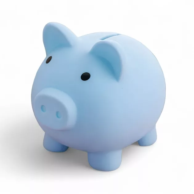Main_Money Saving Piggy Bank for Kids.jpg